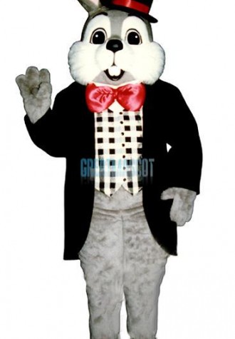 Richie Ritz Lightweight Mascot Costume