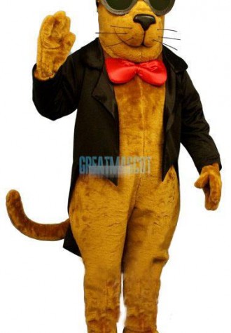 Strayed Cat Lightweight Mascot Costume