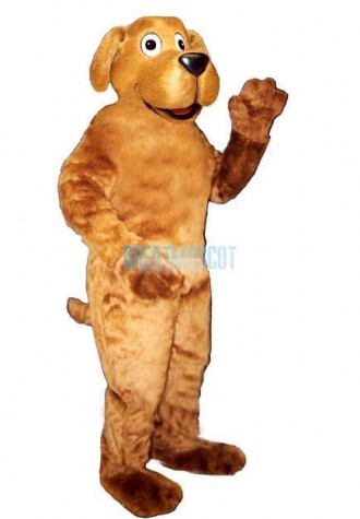 Danny Dog Lightweight Mascot Costume