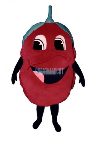 Raspberry Lightweight Mascot Costume