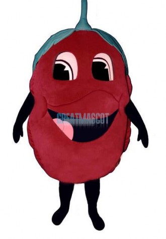 Raspberry Lightweight Mascot Costume