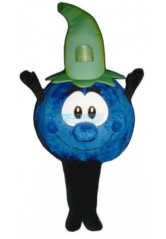 Bobby Blueberry Lightweight Mascot Costume