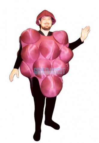 Grapes Lightweight Mascot Costume