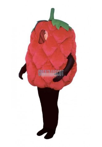 Fresh Raspberry Lightweight Mascot Costume