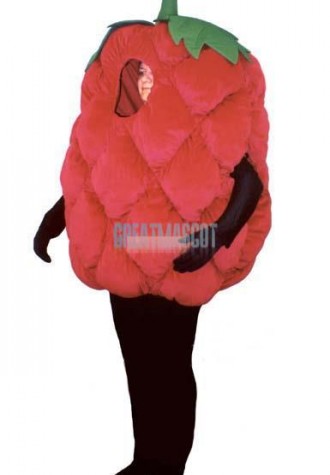 Fresh Raspberry Lightweight Mascot Costume