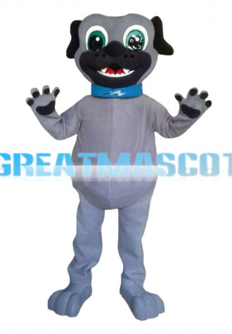 Clever Grey Dog Wearing Collar Mascot Costume
