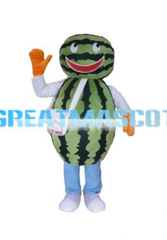 Watermelon Man Mascot Costume 