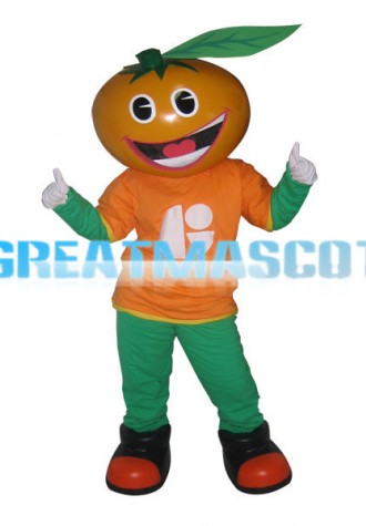 Smiling Orange Cartoon Mascot Fancy Dress Costume 