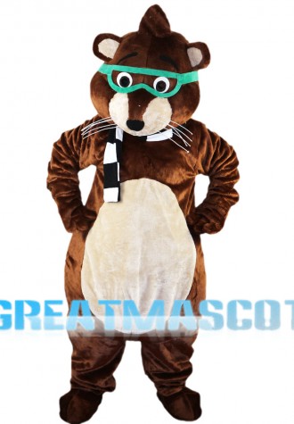 Lovely Raccoon With Green Goggle Mascot Costume