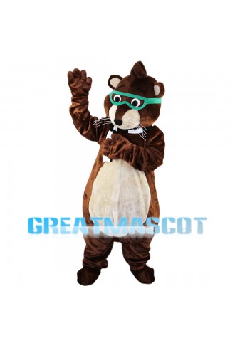 Lovely Raccoon With Green Goggle Mascot Costume