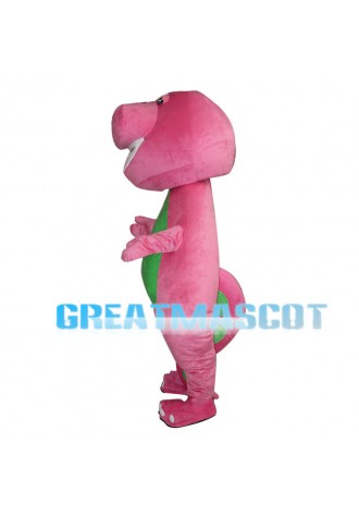 Different Species Of Dinosaurs Mascot Costume