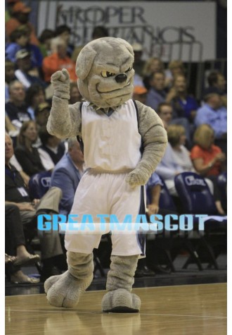 University Grey Power Bulldog Mascot Costume