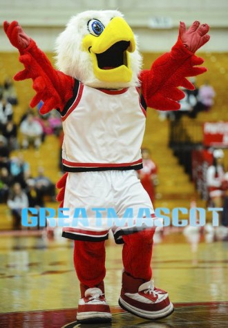 University Red Hawk Mascot Costume