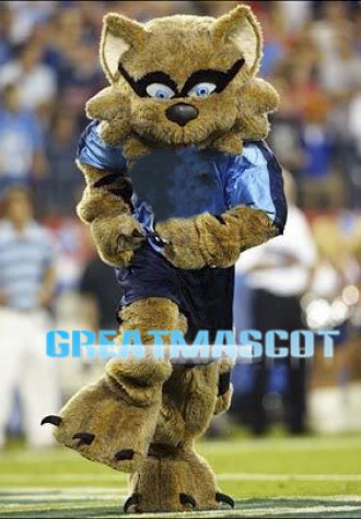 Football Raccoon Mascot Costume