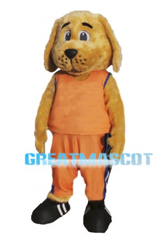 Golden Dog Sports School Mascot Adult Costume