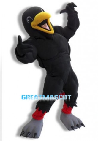 Power Raven Mascot Adult Costume