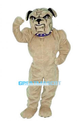 Beige Power American Bulldog Mascot Costume 