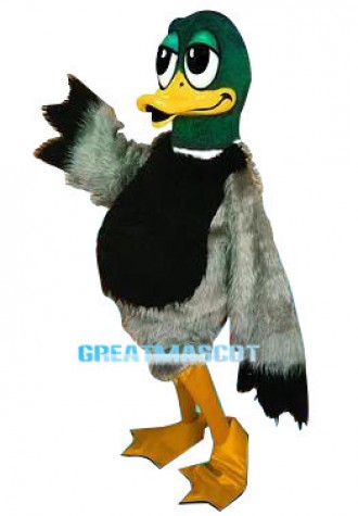 Cute Cartoon Mallard Duck Mascot Costume 