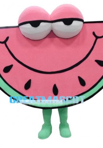 Lethargic Cartoon Pink Watermelon Mascot Adult Costume