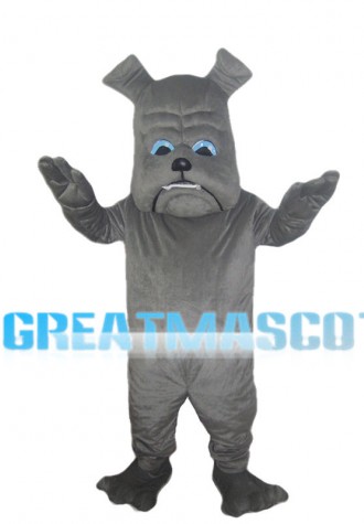 Grey Bulldog With Blue Eyes Mascot Costume