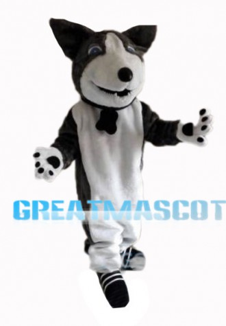 Frank Dog With Collar Mascot Costume