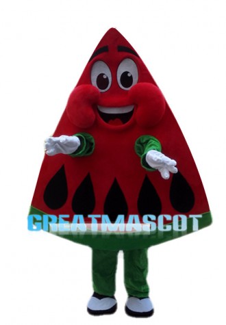 Cartoon Red Triangle Watermelon Mascot Costume