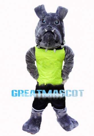 Grey American Bulldog Sports School Mascot Costume 