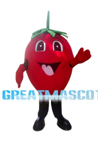 Cheerful Strawberry Mascot Costume 