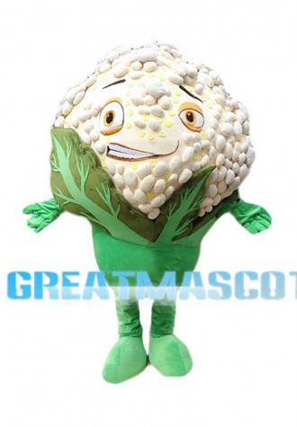 Smug Cartoon Cauliflower Mascot Costume