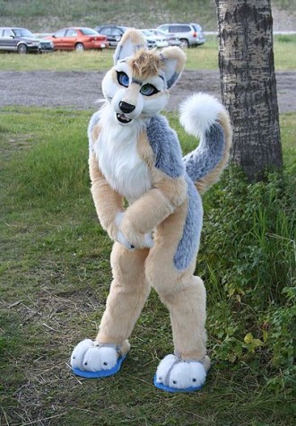 Brown & White Husky Dog Mascot Costume