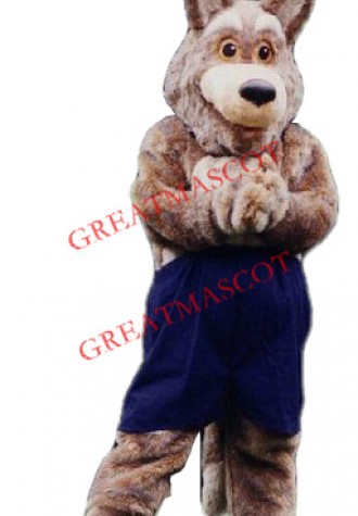 Top Quality Coyote Mascot Costume