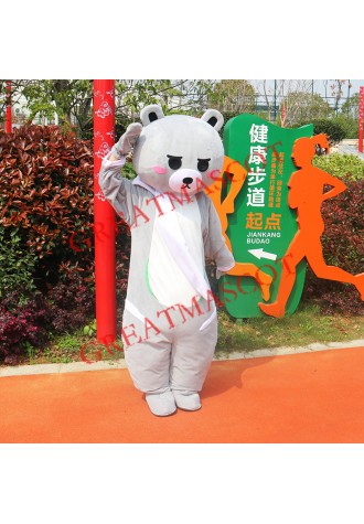 Affordable Friendly Bear Mascot Costume