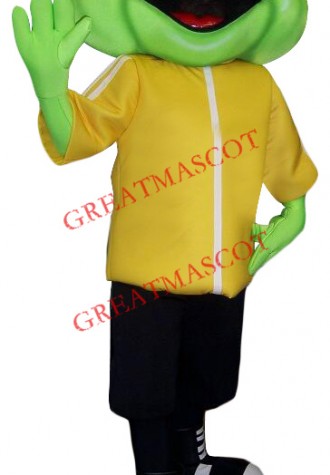 Superb Friendly Frog Mascot Costume