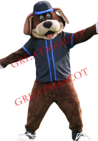 Superb College Sport Dog Mascot Costume