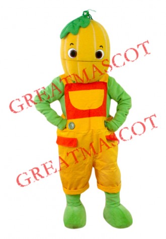 Superb Pumpkin Boy Mascot Costume
