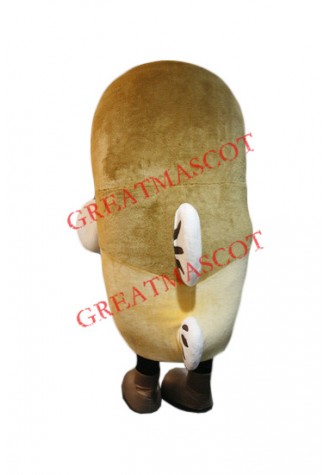 Superb Brown Fish Mascot Costume