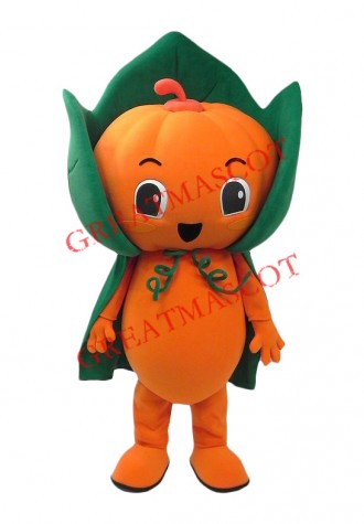 Friendly Pumpkin Boy Mascot Costume