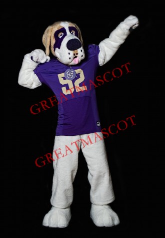 Sport Bernard Dog Mascot Costume