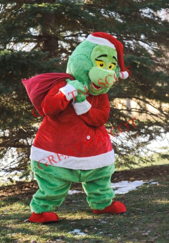 Superb Realistic Christmas Grinch Mascot Costume