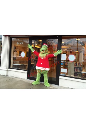 Friendly Christmas Grinch Mascot Costume
