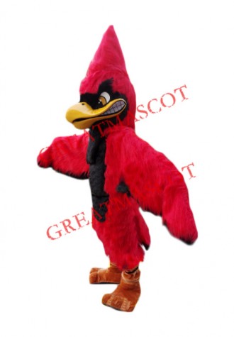 Superb Red Jay Mascot Costume