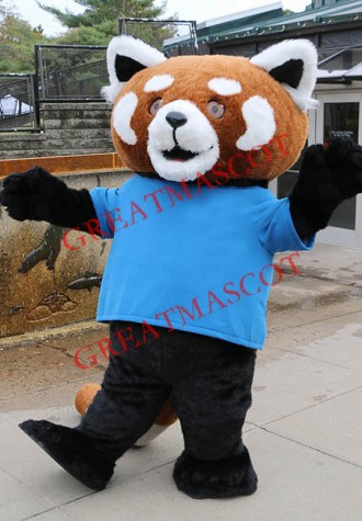 Superb Raccoon Mascot Costume