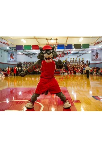 Superb College Sport Wolf Mascot Costume
