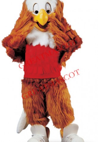 School Sport Eagle Mascot Costume