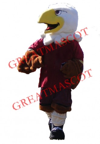 Sport School Eagle Mascot Costume