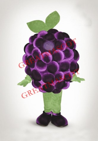Top Quality Grape Mascot Costume