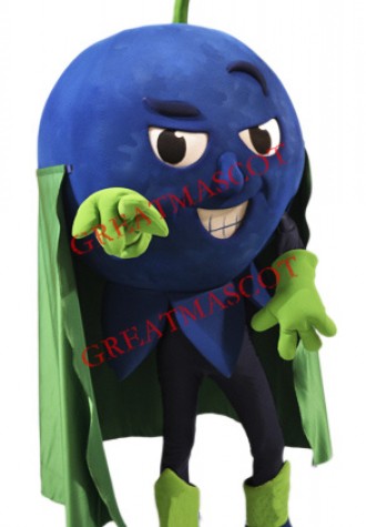 High Quality Blueberry Mascot Costume