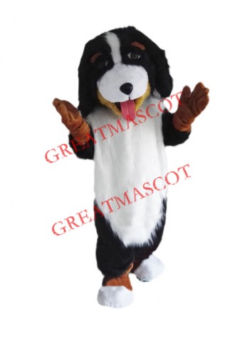 Bernese Mountain Dog Mascot Costume