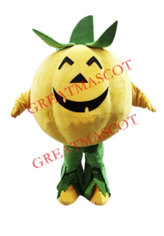Halloween Pumpkin Mascot Costume