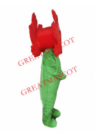 Maple Leaf Mascot Costume